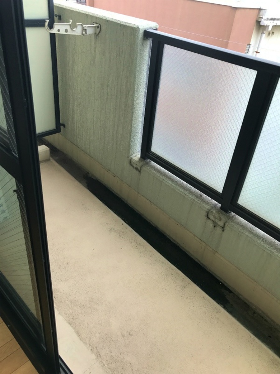 ＰＡＬＡＺＺＯＷＡＫＯ 写真6