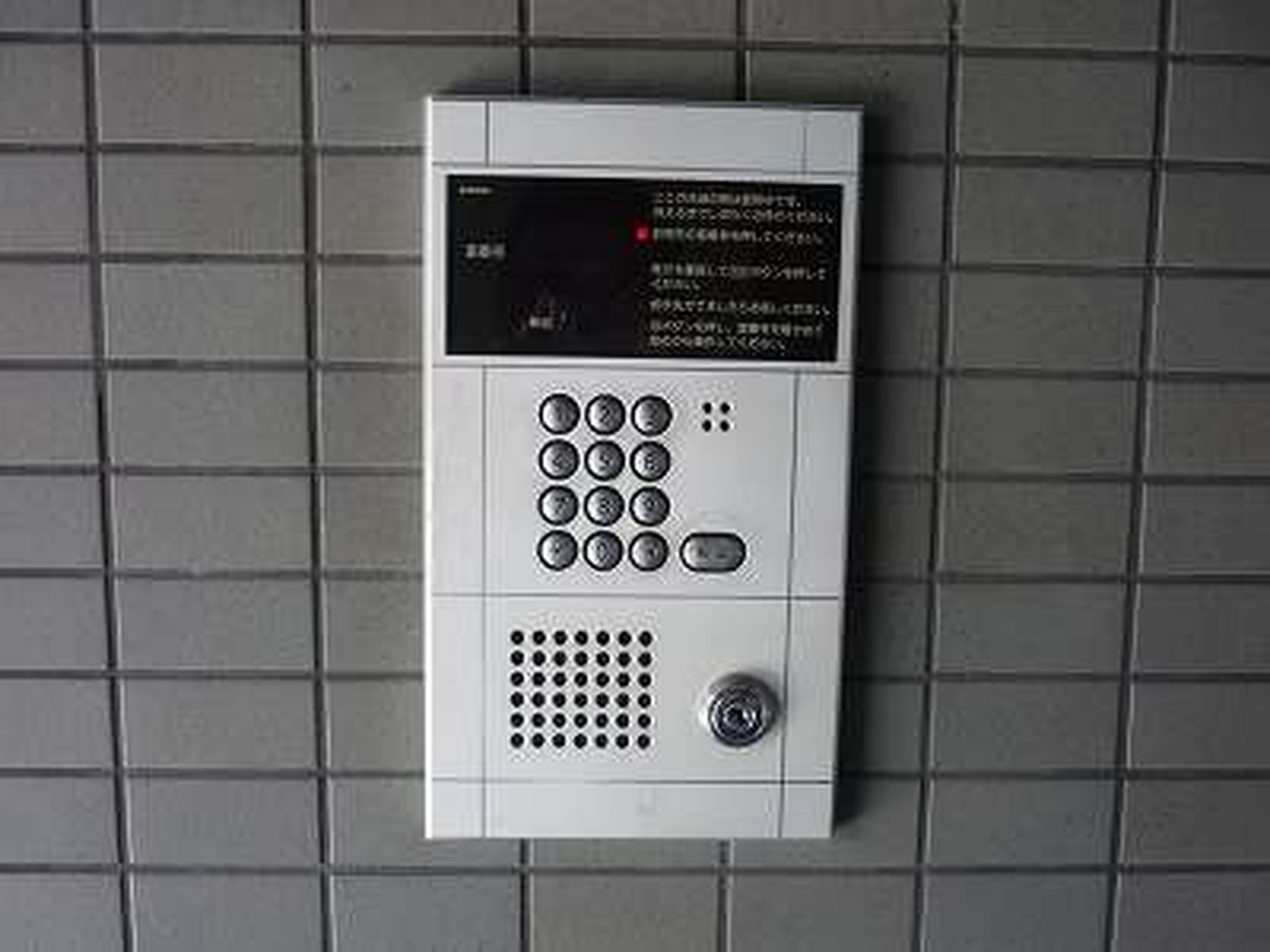 ＰＡＬＡＺＺＯＷＡＫＯ 写真8