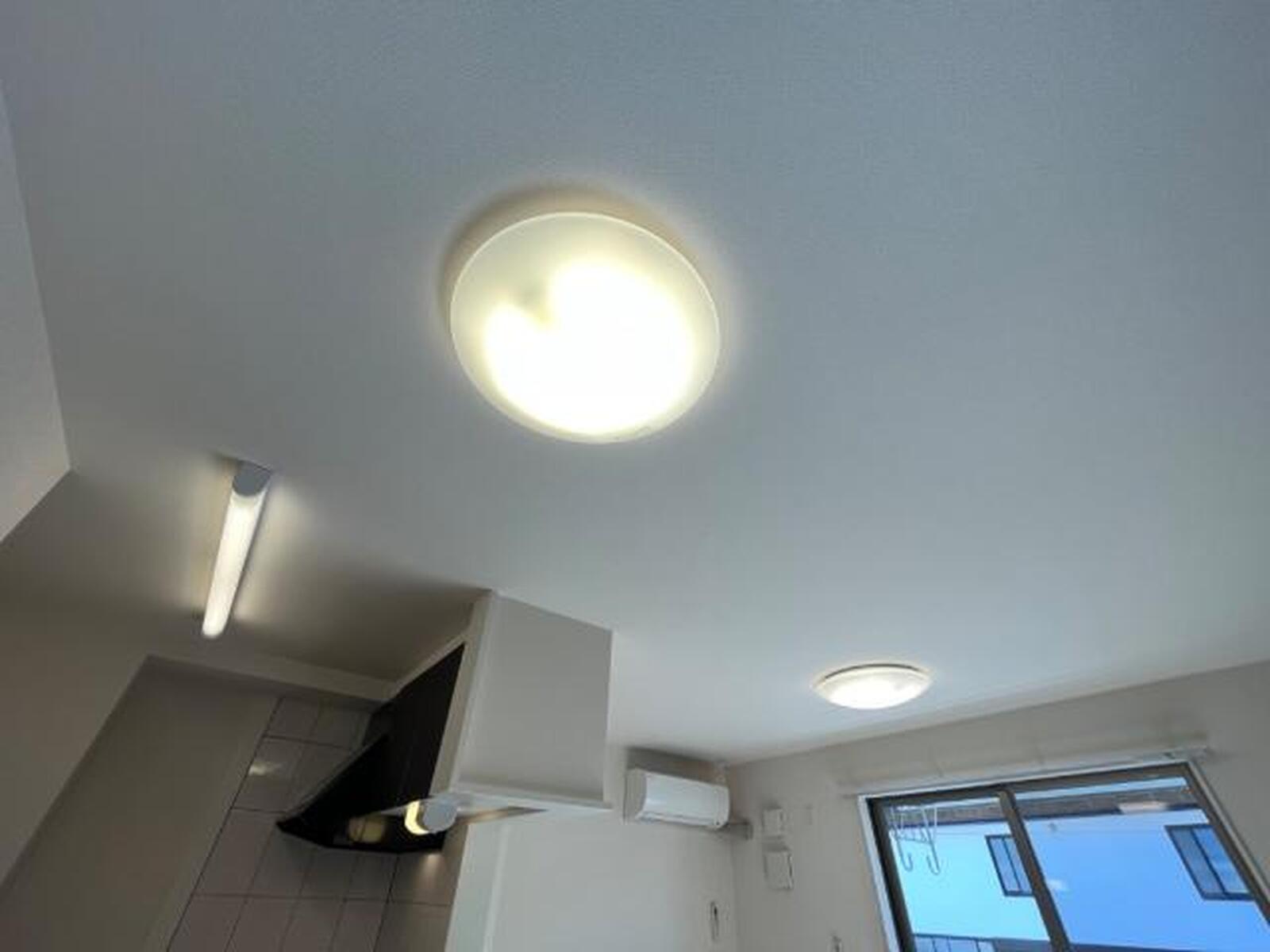 ナイーヴ 写真5