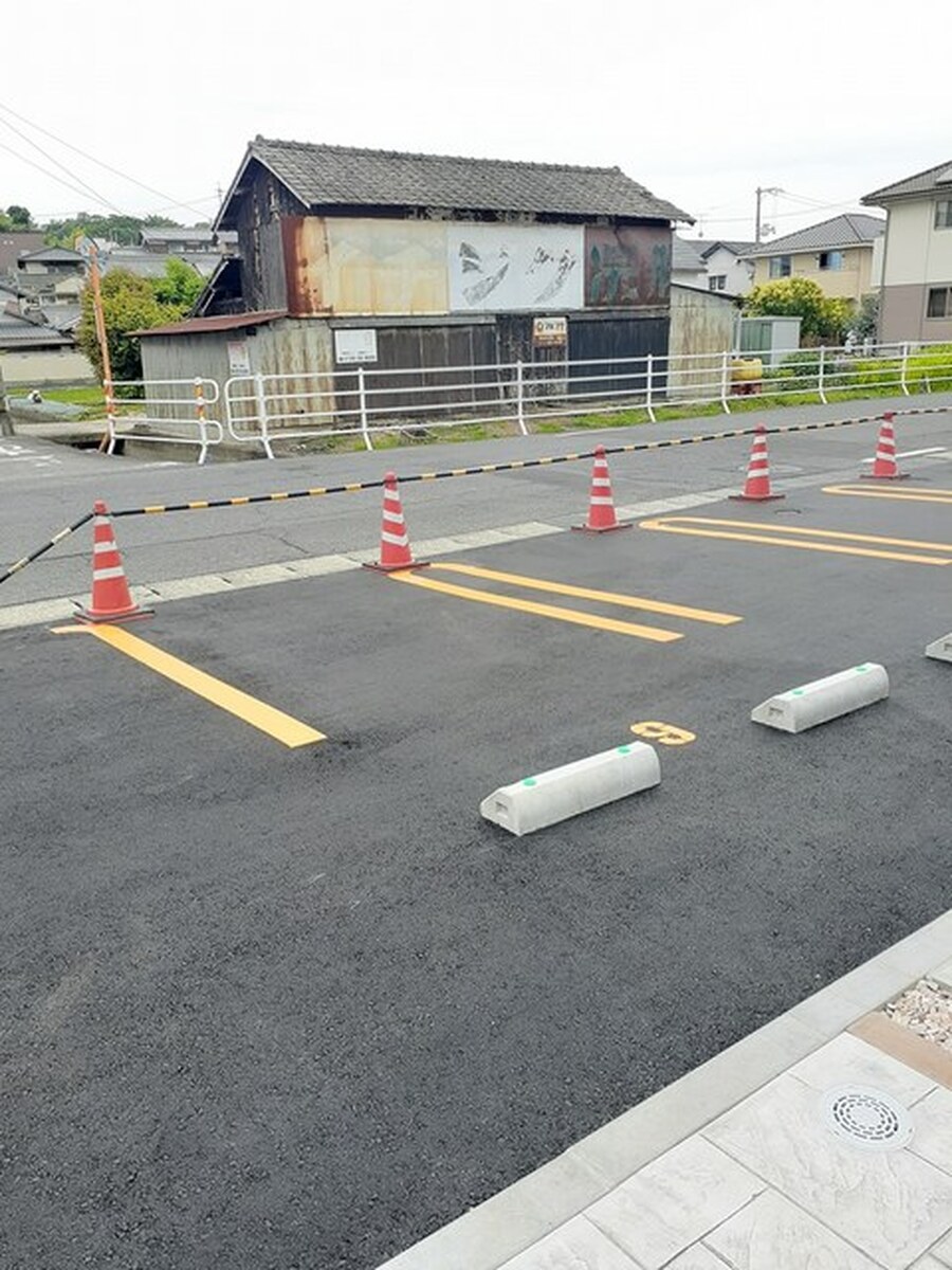 ネオ　コスモス 写真10