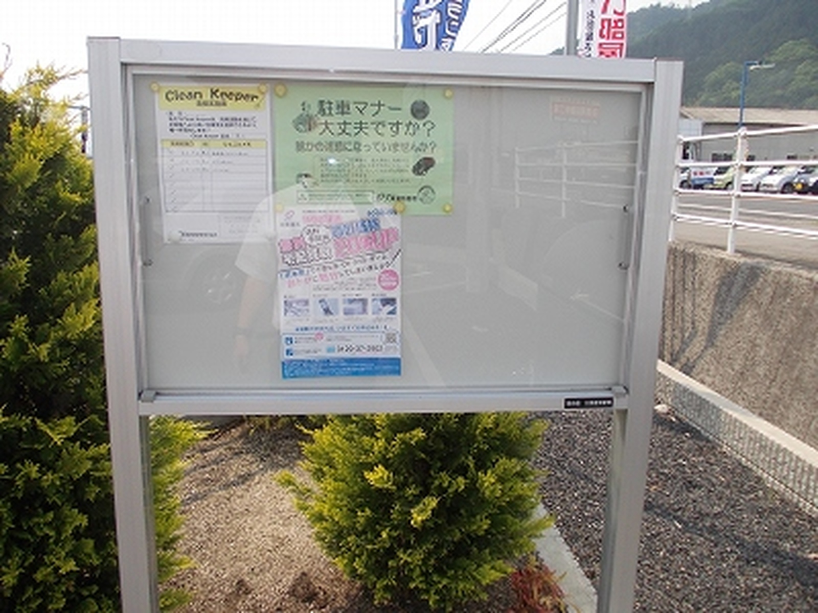 アルビオン 写真6