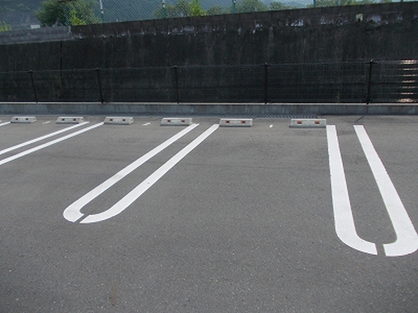 アルビオン 写真7