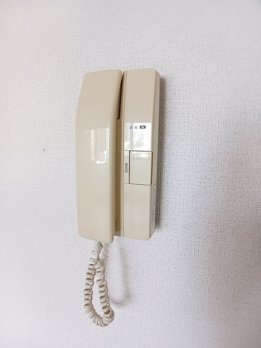 ジュンサンライト 写真8